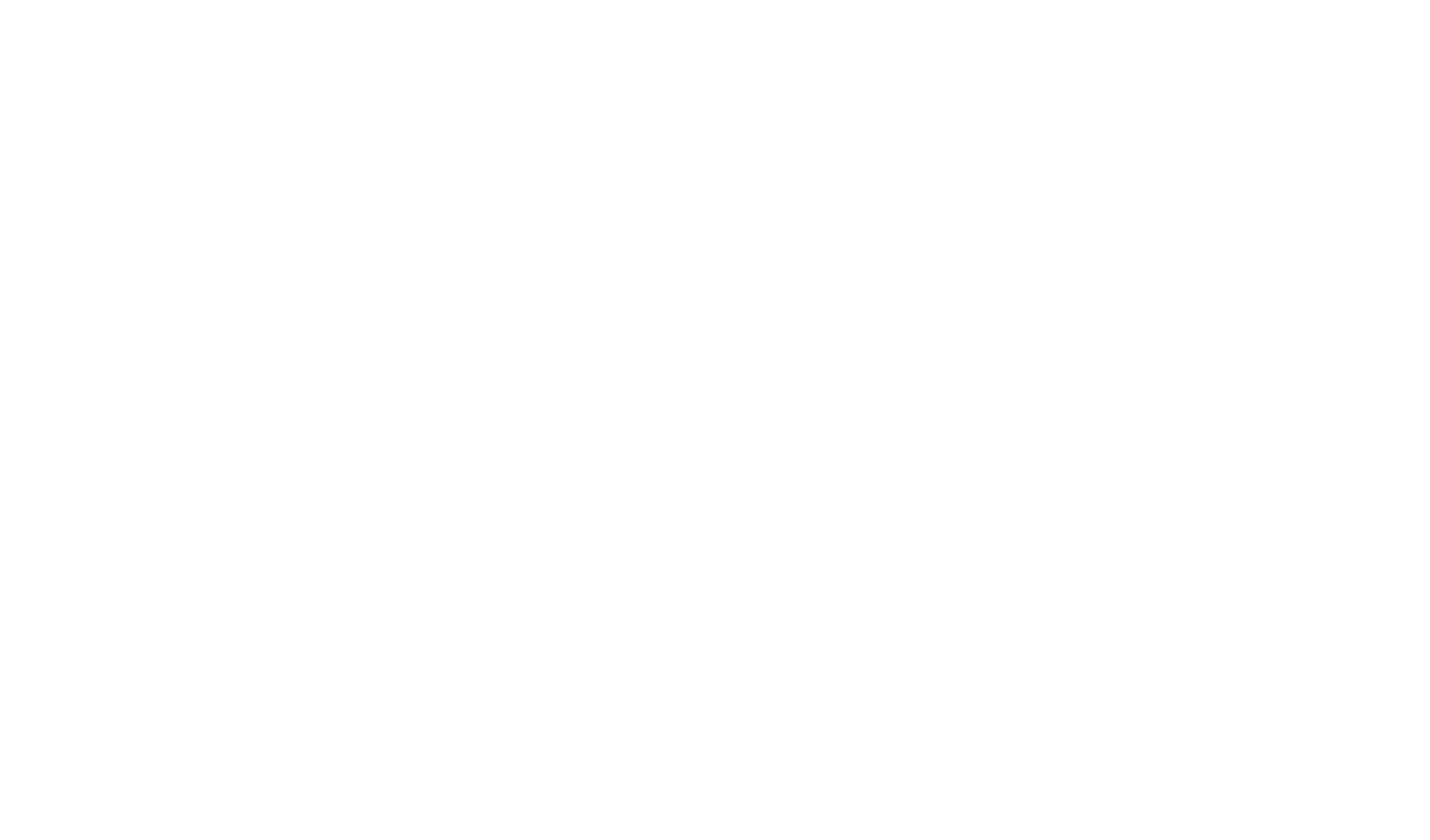 SAVA Invest